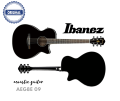 Ibanez AEG8E Acoustic Guitar. 