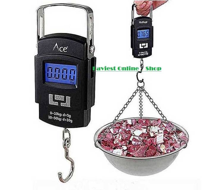 Portable Digital 50 Kg Weighting Scale with Metal Hook (Black)