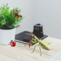 Cross-border static simulation insect model: spider, bull, praying mantis, butterfly, mosquito, insect, children's cognitive animal toys. 