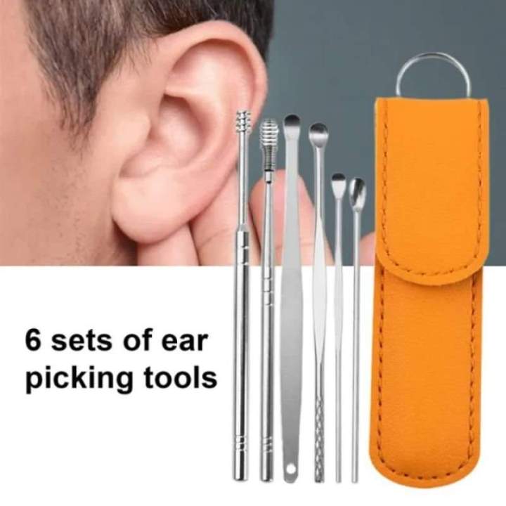 6pcs Stainless Steel Ear Pick Cleaner Ear wax Remover with Storage Box Year Cleaner Set Leather Case With Stainless Steel