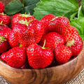 Exceotional Quality - Organic Red Strawberry Seed -150 + PC Seed (imported global seeds) - Sustainable Option - To Exprerience Greatness.