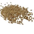 Bird Food Fresh Canary Seeds For Birds - 1kg. 
