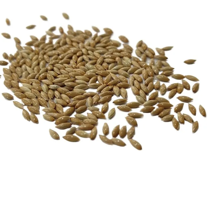 Bird%20Food%20Fresh%20Canary%20Seeds%20For%20Birds%20-%201kg%20-%20Image%203