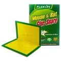 6 Pcs Mouse Board Sticky Mice Glue Trap High Effective Rodent Rat Snake Bugs Catcher Pest Control Reject Non-Toxic. 