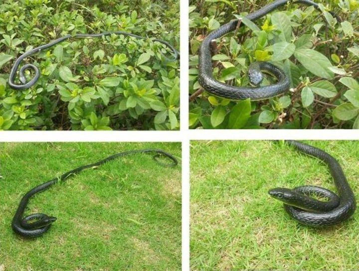 GC%20Fake%20Realistic%20Snake%20Lifelike%20Real%20Scary%20Rubber%20Toy%20Prank%20Party%20Joke%20Halloween%20-%20Image%208