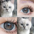 KSSEYE Diamond/Norko Gray Color Contact Lens With Regular Kit Box for Men & Women. Ksseye Diamond Series. #Norko.Gray. 