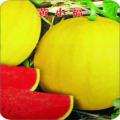 Yellow Lazy melon king watermelon bonsai red meat garden balcony potted vegetableS-10 pcs seedS. 