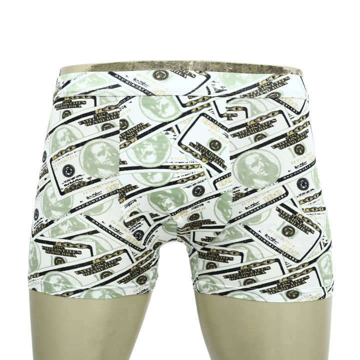 FZ Men's Trunk Boxers main image 0