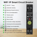 WIFI Overvoltage and Undervoltage Protector Photovoltaic Bidirectional Energy Meter KWH Metering Time Switch.