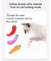 Ecocc The cat toy vegetable series plush puppet toys include catweed tossing toys Fast delivery from stock. 