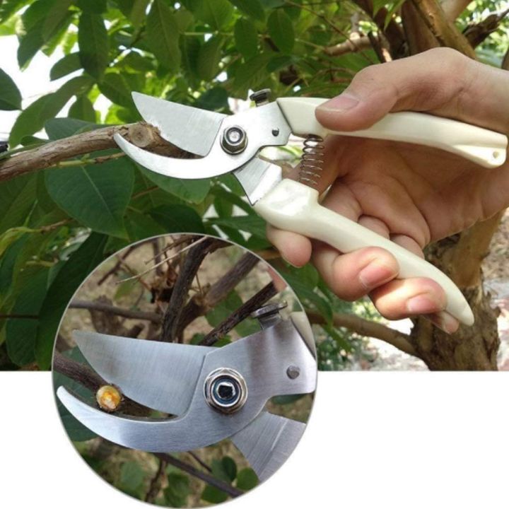 Pruner%20Made%20in%20china%20-%20Image%205