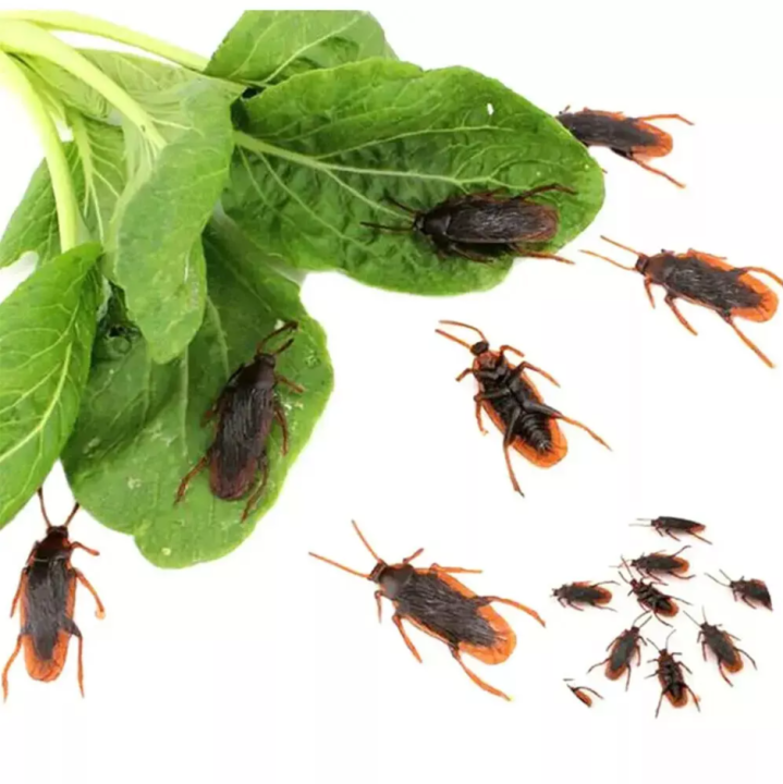 Fake%20Cockroach%20Realistic%20Fake%20Bug%20Lifelike%20Fake%20Cockroach%20Novelty%20Bug%20Halloween%20Prank%20Roach%20Prop%20-%20Image%205