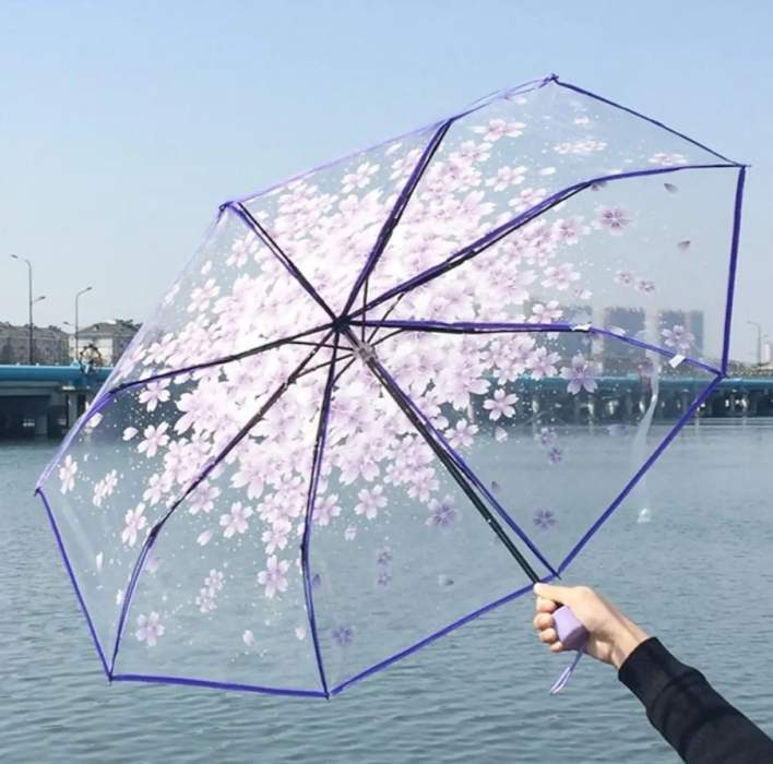Transparent%20Flower%20Design%20Folding%20Women%20Fashion%20Umbrella%20Blue%20-%20Image%202