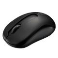 Rapoo Wireless Optical Mouse.