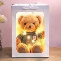 teddy bear doll dressing doll kids pillow rag doll wedding event birthday gift plush toys wholesale.