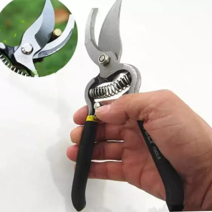 Pruning%20Shears/Garden%20Scissor/Professional%2010%20Inch%20Garden%20Scissors,%20Fruit%20Tree%20Pruning%20Shears%20Bonsai%20Pruners%20Grafting%20Cutter%20Garden%20Tools%20-%20Image%204