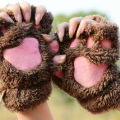 Cute Cat Claw Plush Mittens Fluffy Bear Gloves Costume Half Finger Party Gift-Cola Kids. 