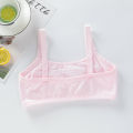Wholesale underwear for girls students small suspenders cotton for junior high school students and young girls for high school students breathable bras.