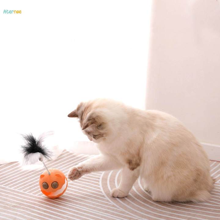 Cat%20Tumbler%20Toys,%20Interactive%20Cat%20Toy,%20Funny%20Play%20Catnip%20Toys,%20Pet%20Toys%20for%20Catching%20Increases%20IQ%20Training,%20Kitty%20Kitten%20Small%20Medium%20Large%20Cats%20-%20Image%208