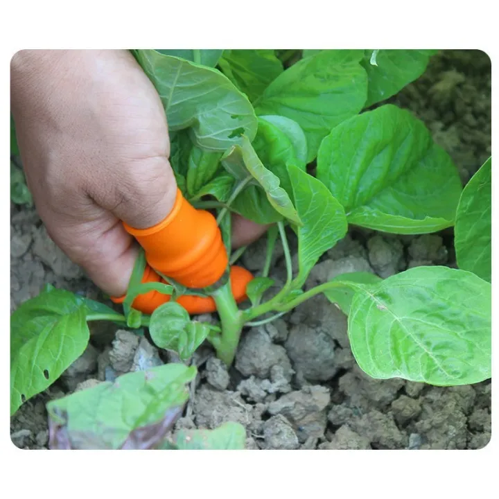 5%20in%201%20Silicone%20Vegetable%20And%20Fruits%20Thumb%20Cutter%20Finger%20Cutter%20-%20Image%207