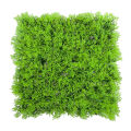 Artificial Fake Water Aquatic Green Grass Lawn Aquarium Landscape.
