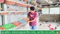 কবুতরের ডিমের ঝুড়ি ২ পিছ. 