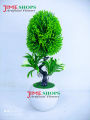 Artificial Bonsai Tree (35Cm Long+Wide) In Plastic Pot For Office, Home, Reading Table Decoration - Home Decoration Item - Home Decoration Item - artificial flower. 