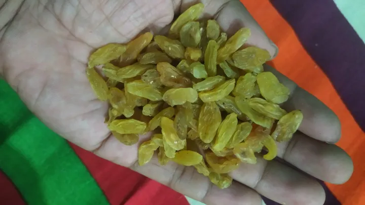 Golden%20Raisins%20Kismis%20Seedless%20-%20500gm%20(impoted)%20-%20Image%206