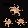 【Homesickneisi】New Realistic Sea Animals Solid Simulation Octopus Figurines ABS Actions Figures Models Collection EducationAl Toys For Children.