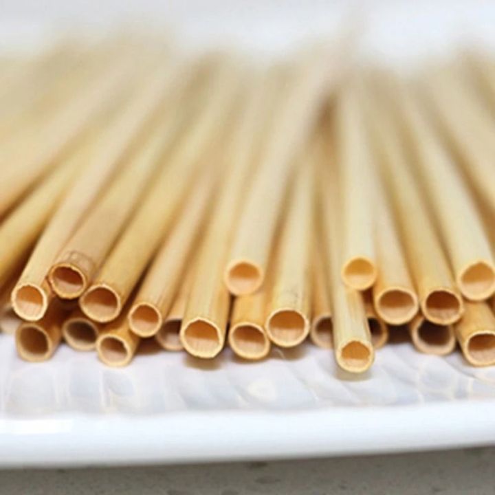 100Pcs%20Party%20Bar%20Accessories%2020cm%20Wheat%20Drinking%20Straws%20Disposable%20Eco-Friendly%20Environmentally%20Straws%20Natural%20Portable%20Degradable%20Straws%20Bar%20-%20Image%204