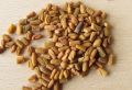Fenugreek Seeds/ Methi Bij/ Methi Dana- 100 gm. 