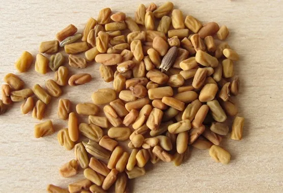 Fenugreek%20Seeds/%20Methi%20Bij/%20Methi%20Dana-%20100%20gm%20-%20Image%203