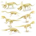 Dinosaur Skeleton Models Bones Figures for Festival. 