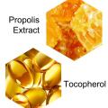 Propolis Nourish Moisturizing Lip Mask Sleep Lip Balm Nourishing Anti-wrinkle Lip Care Anti-cracking Uni Lip Care. 