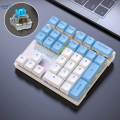 33 Keys Wired Numeric Keypad PBT Keycaps Compact Type C Number Pad Easy to Use Ergonomic for Finance.