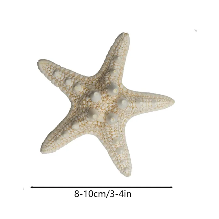10Pcs%20White%20Knobby%20Star%20Fish%20Natural%20Dried%20Starfish%20Sea%20Star%20Beach%20Craft%20Wedding%20Party%20Home%20Decor%20DIY%20Hanging%20Ornaments%20Photography%20Props%20-%20Image%207