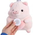 30 Second Voice Recorder Plush Toy Custom Message Voice Box Recordable Sound Module Mini DIY Toy Recording Device. 