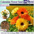 Calendula Flower - 15/30 pcs Seed - ক্যালেন্ডুলা ফুলের বীজ মিক্সড কালার হাইব্রিড বীজ - Mixed Color. 