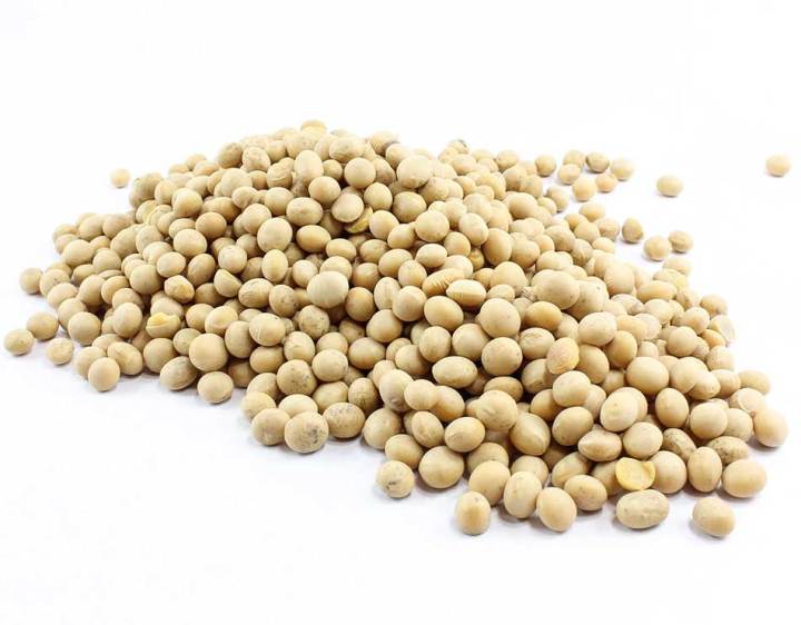 Soybean%20Seeds/%20Soybean%20Bichi/Bij-%20%20500%20gm%20-%20Image%203