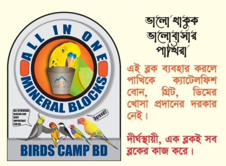 All%20in%20One%20Block%20Set%20-%205%20Pcs%20-%20Image%202