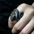Vintage Charm Horned Snake Ring For Man Woman Aesthetic Punk Viking Myth Snake Dragon Open Ring Cool Trend 2023 New Gift Jewely. 