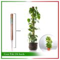 24 Inch Coco Pole (Plant Support) - 1 Pcs.