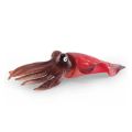 Baby Montessor Simulated Ocean belemnite Octopus Squid Animal Model Educational Toy For Children Gifts. 