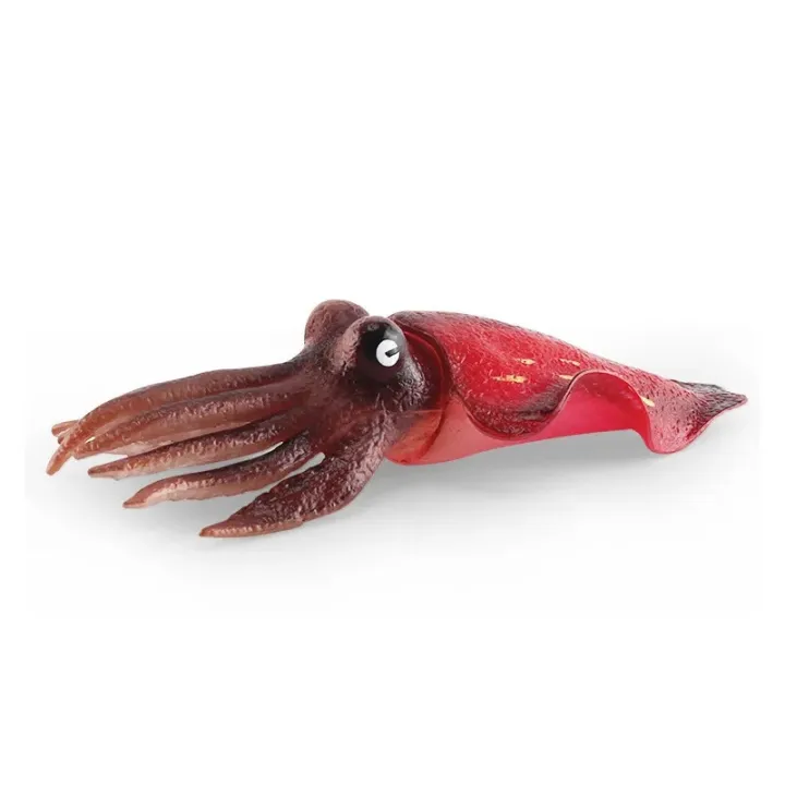 Baby%20Montessor%20Simulated%20Ocean%20belemnite%20Octopus%20Squid%20Animal%20Model%20Educational%20Toy%20For%20Children%20Gifts%20-%20Image%205