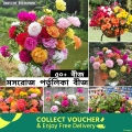 Global Moss Rose Portulaca Mixed Seeds - 50+ Seeds. 