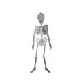 Portable Skull Prop Attractive Plastic Funny Halloween Luminous Skeleton Body Toy Sculpture for Festival. 