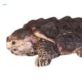 Snapping Turtle Figurine Tea Pet Sculpture Snapping Turtle Statue for Table. 
