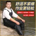 Wear-Resistant Wader Fishing Waterproof Clothes One-Piece Water Fork Shorts Rain Pants Men and Women Waders Thickened Half-Body Digging Lotus Root.