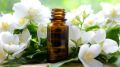 Jasmine oil/chameli tel -100ml(Chemical Free). 