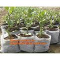 Nursery Poly Bags/Grow Bags (5"X6" @500Gm). 